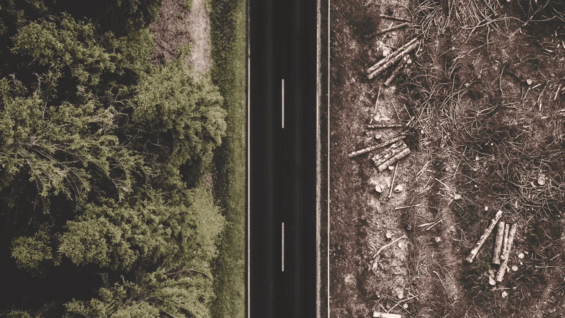 Training Package Analysis EUDR 2026 – new deadlines, the simplification package and what ...